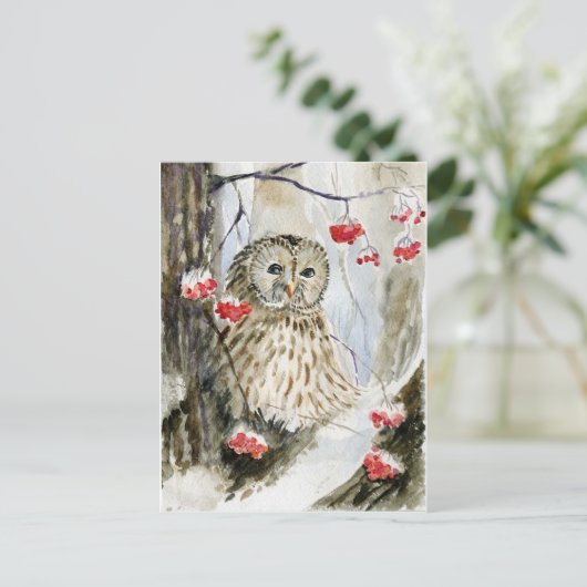 フクロウの冬 ポストカード (スタンド正面)