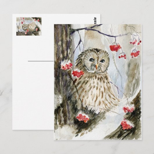 フクロウの冬 ポストカード (正面/裏面)