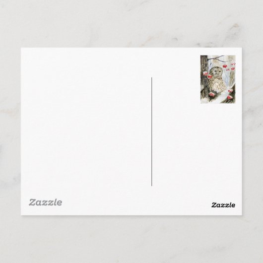 フクロウの冬 ポストカード (裏面)