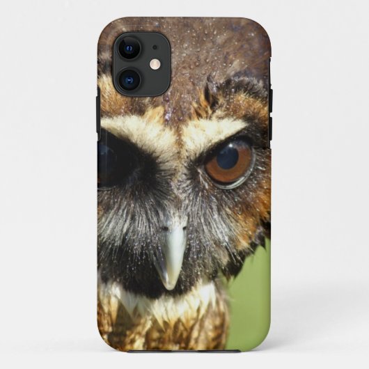 フクロウの動物の鳥の自然公園の木の調和の運命 Case-Mate iPhoneケース (裏面)