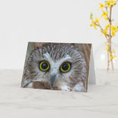 フクロウの北寄り カード (黄色い花)