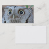 フクロウの名刺 名刺 (正面/裏面)