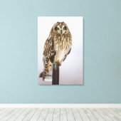 フクロウの垣根 キャンバスプリント (インサイチュ (ウッドフロア))