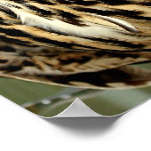 フクロウの大口ポスター ポスター (角)