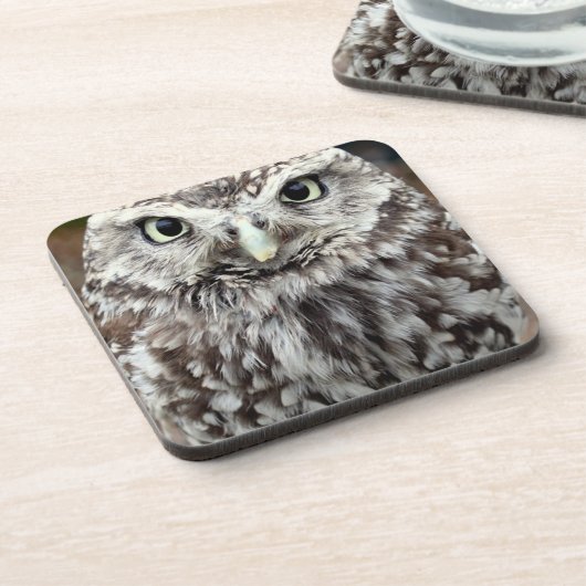 フクロウの子 コースター (左側)