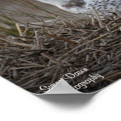 フクロウの微笑 ポスター (角)