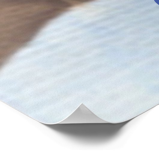 フクロウの恋人たち ポスター (角)