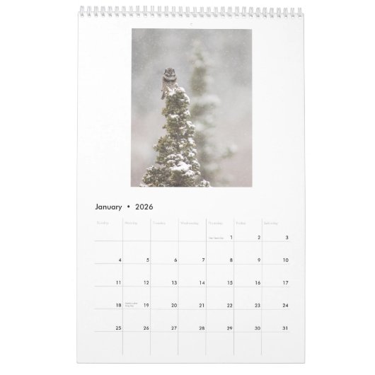 フクロウの恋人のための2017壁掛けカレンダー カレンダー (1月 2026)