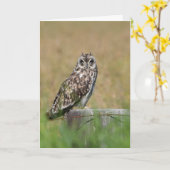 フクロウの提起 カード (黄色い花)