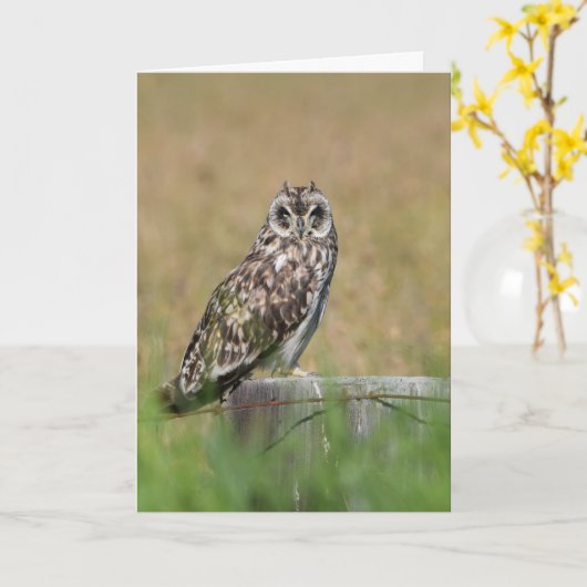 フクロウの提起 カード (黄色い花)