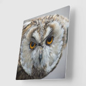 フクロウの時計 スクエア壁時計 (傾斜)