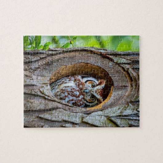 フクロウの木の幹の住居の秘密 ジグソーパズル (横)