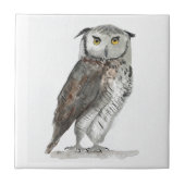 フクロウの木鳥の素朴な台所動物のタイル タイル (正面)