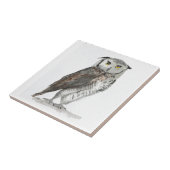 フクロウの木鳥の素朴な台所動物のタイル タイル (側面)