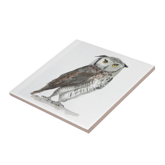 フクロウの木鳥の素朴な台所動物のタイル タイル (側面)