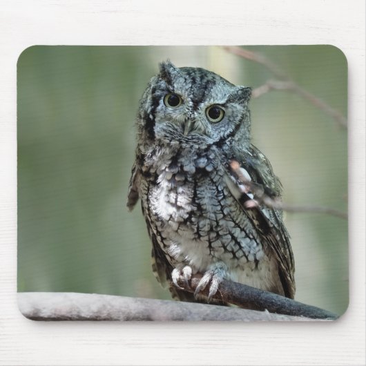 フクロウの東の悲鳴 マウスパッド (正面)