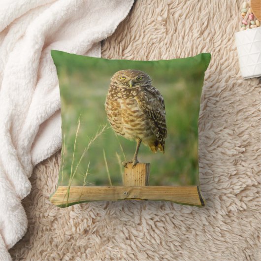 フクロウの枕を掘り進むこと クッション (ブランケット)