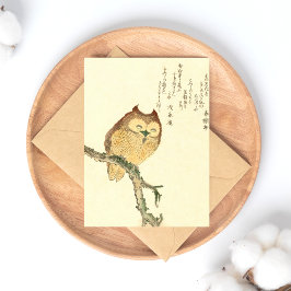 フクロウの枝 – 日本のファインアート葉書 ポストカード