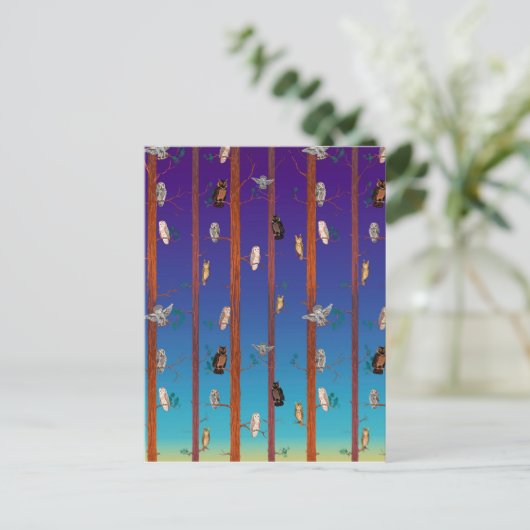 フクロウの森 ポストカード (スタンド正面)