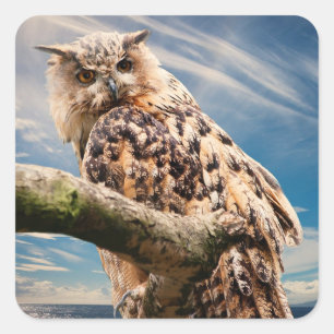 フクロウの熟考 スクエアシール