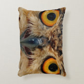 フクロウの目 アクセントクッション (正面(垂直))