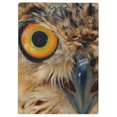 フクロウの目 クリップボード (裏面)
