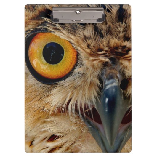 フクロウの目 クリップボード (正面)