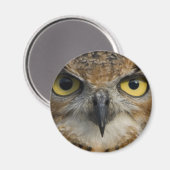 フクロウの目 マグネット (正面/裏面)