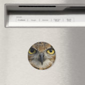 フクロウの目 マグネット (インサイチュ (食洗機))