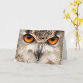 フクロウの目、ワシミミズクの写真の目 カード (黄色い花)