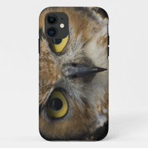 フクロウの目 iPhone 11 ケース
