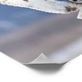 フクロウの短い踊り場 ポスター (角)