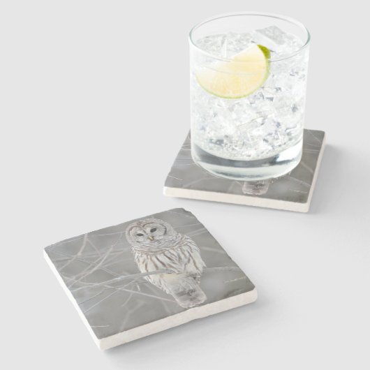 フクロウの石造りのコースター ストーンコースター (横)