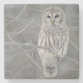 フクロウの石造りのコースター ストーンコースター (正面)