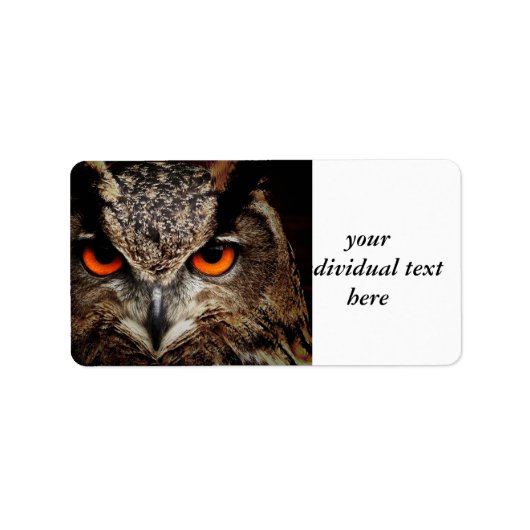 フクロウの研究者 ラベル (正面)