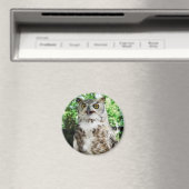 フクロウの磁石「オリー」 マグネット (インサイチュ (食洗機))