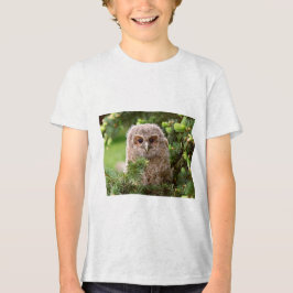 フクロウの種類11 トライブレンドＴシャツ