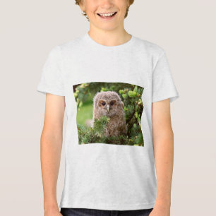 フクロウの種類11 トライブレンドTシャツ