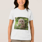 フクロウの種類11 トライブレンドＴシャツ (正面)