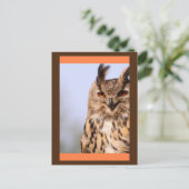 フクロウの笑顔はがき ポストカード (スタンド正面)