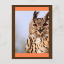 フクロウの笑顔はがき ポストカード