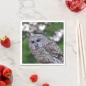 フクロウの精神 スタンダードカクテルナプキン (インサイチュ)