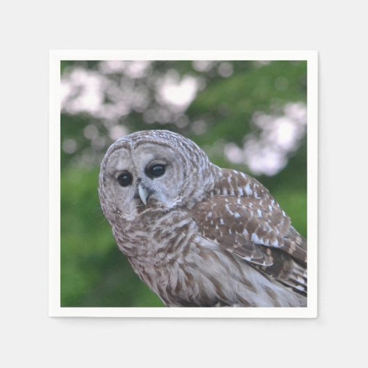 フクロウの精神 スタンダードカクテルナプキン (正面)