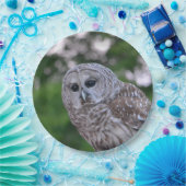 フクロウの精神 ペーパープレート (パーティー)