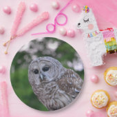 フクロウの精神 ペーパープレート (パーティー)