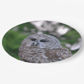 フクロウの精神 ペーパープレート (アングル)