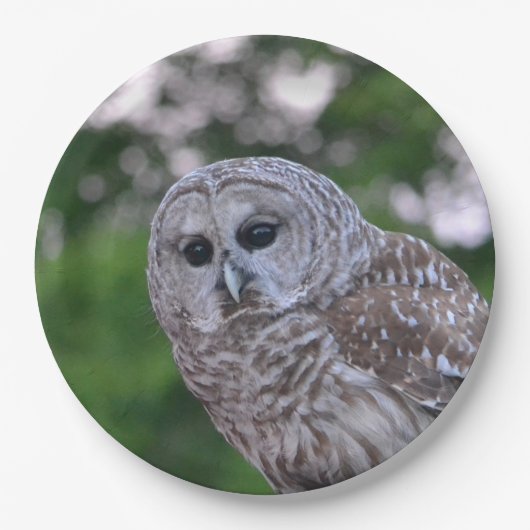 フクロウの精神 ペーパープレート (正面)