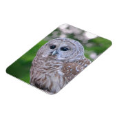 フクロウの精神 マグネット (左側)