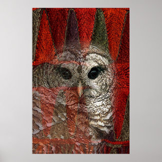 フクロウの精霊バイグレゴリーガロ ポスター