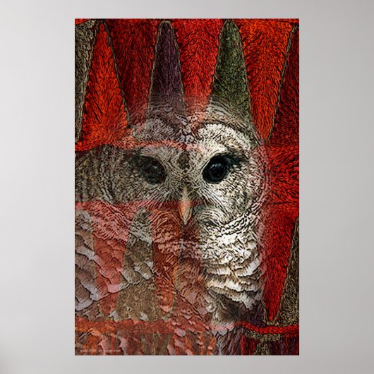 フクロウの精霊バイグレゴリーガロ ポスター (正面)